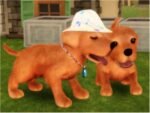 Petz Dogz 2 - PlayStation 2